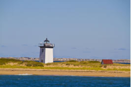 Fotoschlumpfs Abenteuerreisen auf Whalewatchingtour vor Cape Cod