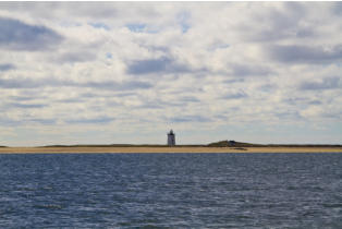 Fotoschlumpfs Abenteuer und die Wale vor Cape Cod!